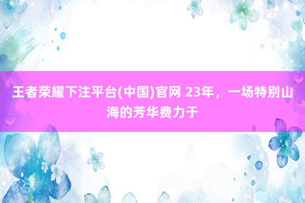 王者荣耀下注平台(中国)官网 23年，一场特别山海的芳华费力于