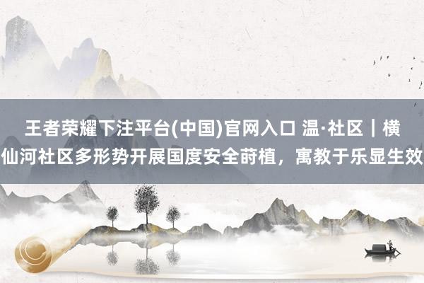 王者荣耀下注平台(中国)官网入口 温·社区｜横仙河社区多形势开展国度安全莳植，寓教于乐显生效