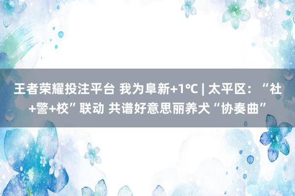 王者荣耀投注平台 我为阜新+1℃ | 太平区：“社+警+校”联动 共谱好意思丽养犬“协奏曲”
