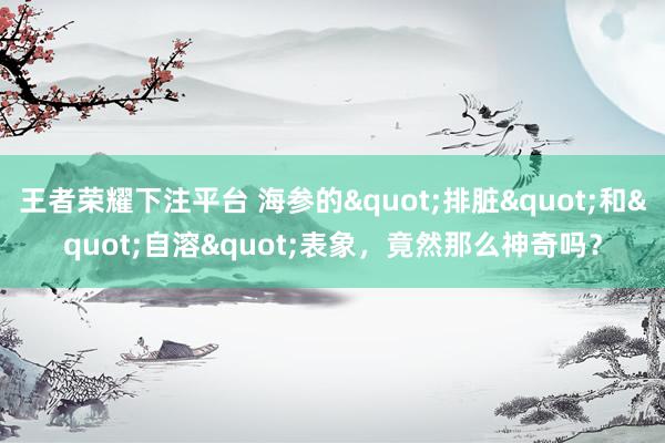 王者荣耀下注平台 海参的"排脏"和"自溶"表象，竟然那么神奇吗？