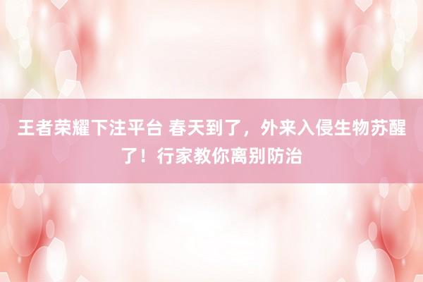 王者荣耀下注平台 春天到了，外来入侵生物苏醒了！行家教你离别防治