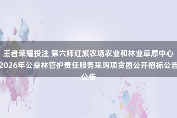 王者荣耀投注 第六师红旗农场农业和林业草原中心2026年公益林管护责任服务采购项贪图公开招标公告