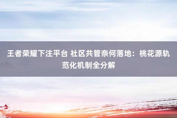 王者荣耀下注平台 社区共管奈何落地：桃花源轨范化机制全分解