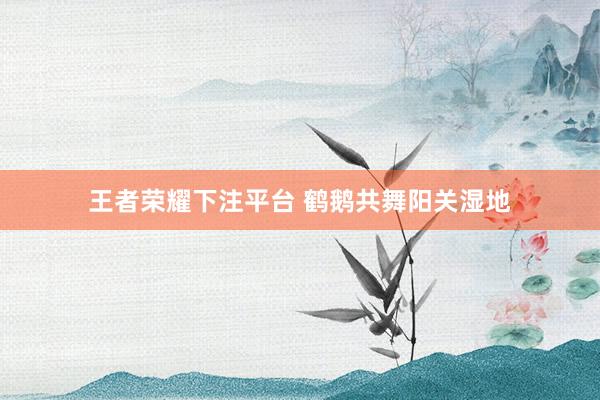 王者荣耀下注平台 鹤鹅共舞阳关湿地