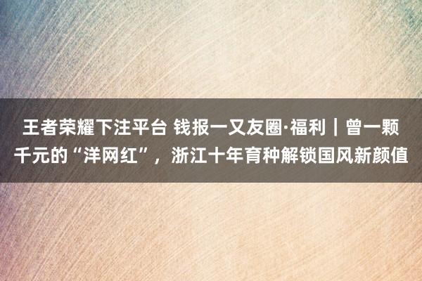 王者荣耀下注平台 钱报一又友圈·福利｜曾一颗千元的“洋网红”，浙江十年育种解锁国风新颜值