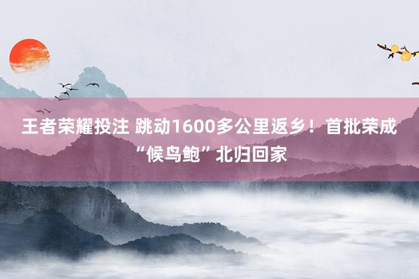 王者荣耀投注 跳动1600多公里返乡！首批荣成“候鸟鲍”北归回家