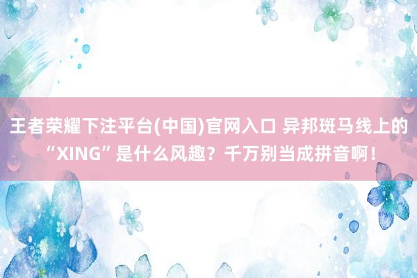 王者荣耀下注平台(中国)官网入口 异邦斑马线上的“XING”是什么风趣？千万别当成拼音啊！