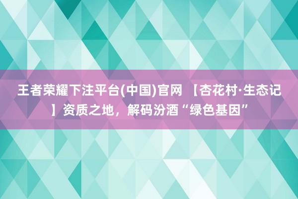 王者荣耀下注平台(中国)官网 【杏花村·生态记】资质之地，解码汾酒“绿色基因”