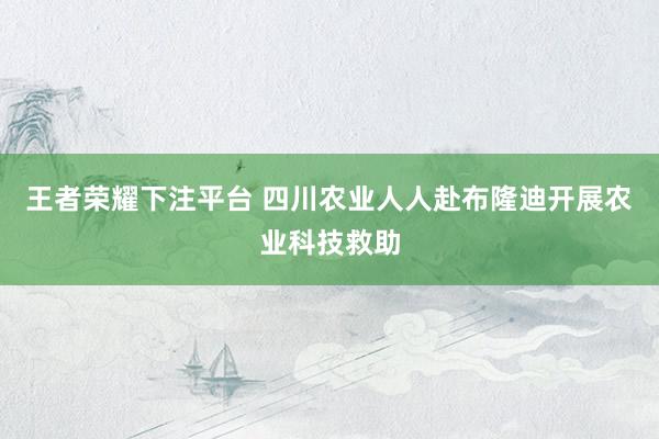 王者荣耀下注平台 四川农业人人赴布隆迪开展农业科技救助