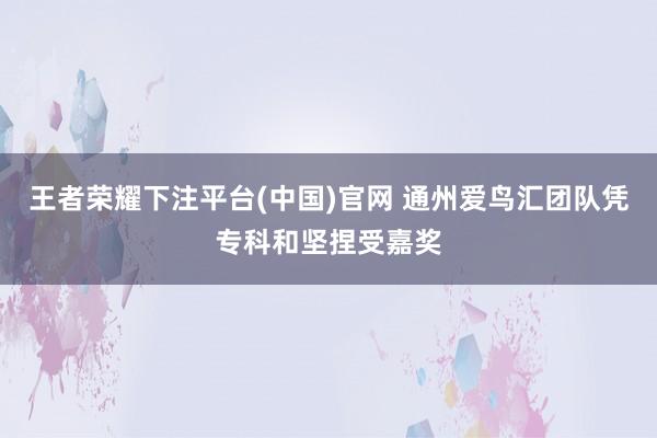 王者荣耀下注平台(中国)官网 通州爱鸟汇团队凭专科和坚捏受嘉奖