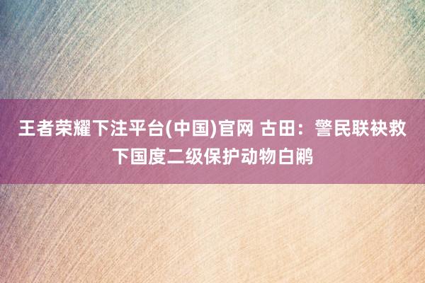 王者荣耀下注平台(中国)官网 古田：警民联袂救下国度二级保护动物白鹇