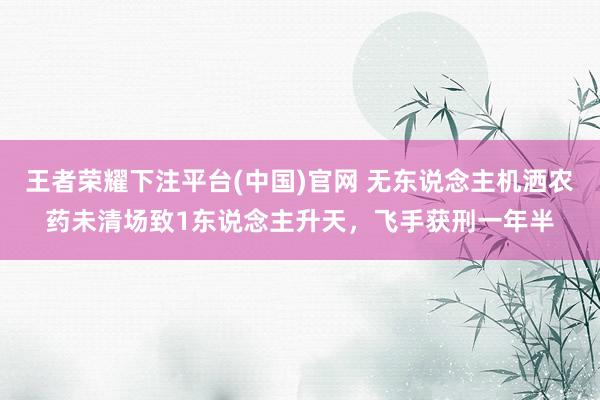 王者荣耀下注平台(中国)官网 无东说念主机洒农药未清场致1东说念主升天，飞手获刑一年半
