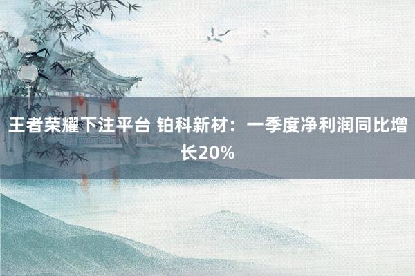 王者荣耀下注平台 铂科新材：一季度净利润同比增长20%