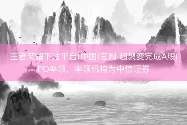 王者荣耀下注平台(中国)官网 超聚变完成A股IPO率领，率领机构为中信证券