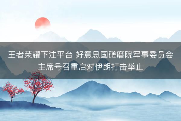 王者荣耀下注平台 好意思国磋磨院军事委员会主席号召重启对伊朗打击举止