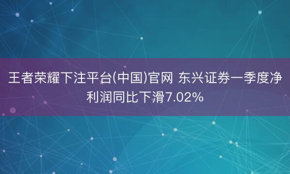 王者荣耀下注平台(中国)官网 东兴证券一季度净利润同比下滑7.02%