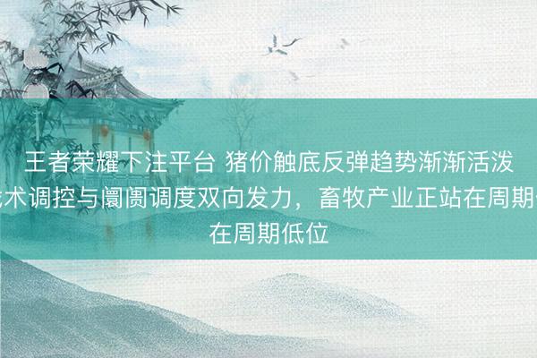 王者荣耀下注平台 猪价触底反弹趋势渐渐活泼，战术调控与阛阓调度双向发力，畜牧产业正站在周期低位