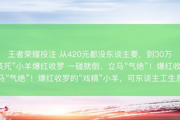 王者荣耀投注 从420元都没东谈主要，到30万不舍得卖！宁夏这只“装死”小羊爆红收罗 一碰就倒、立马“气绝”！爆红收罗的“戏精”小羊，可东谈主工生息更多只
