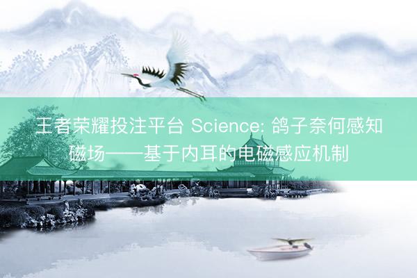 王者荣耀投注平台 Science: 鸽子奈何感知磁场——基于内耳的电磁感应机制